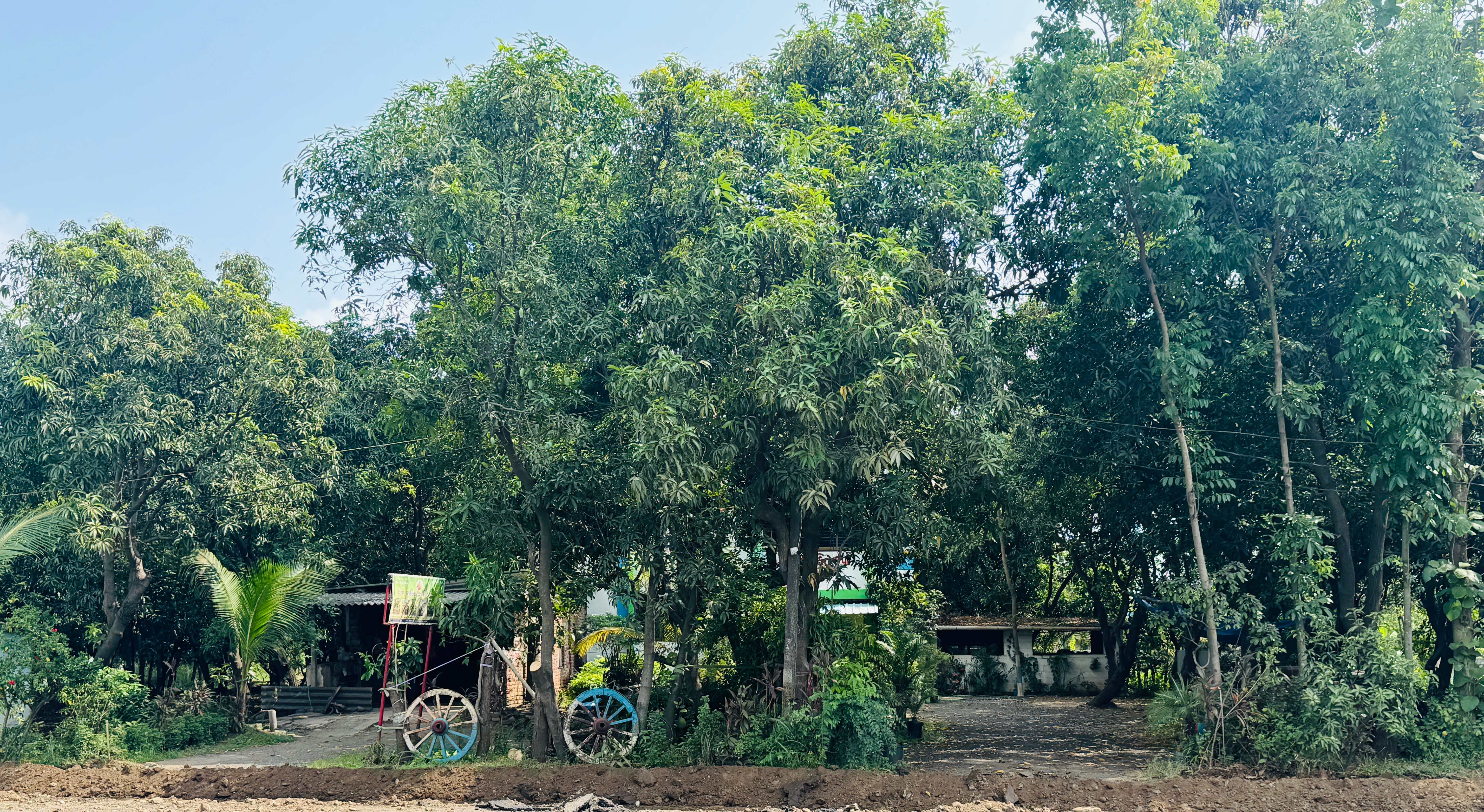 Farm landscape background